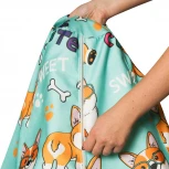 Кресло мешок Dreambag Груша Корги (XL, Классический) 5028221