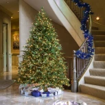 Светодиодная гирлянда Feron 48177 CL09 линейная 10м + 2м 5000К, c питанием от сети