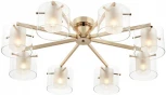Потолочная люстра на штанге Lumion Verdi 6587/8C золото/прозрачный, металл/стекло E14 8*40W 220V (круглые)