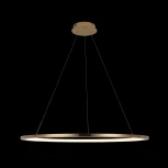 Подвесной светильник Loft IT Ring 10014XL (LED, 220V, на тросе, кольцо)
