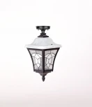 Потолочный светильник уличный Oasis Light VENECIA 2L 91805LA Bl (220V, фонарь, IP44)