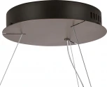 Подвесной светильник светодиодный Lightstar Faraone 701161 (220V, подвески, на тросе, кольцо)