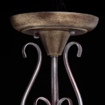 Потолочная люстра MW-Light Аида 323012603