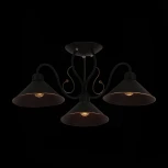 Потолочная люстра Evoluce Ciolla SLE120402-03