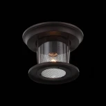 Потолочный светильник уличный ST Luce Lastero SL080.402.01 (220V, IP54)