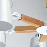 Потолочная люстра MW-Light Форест 693011106