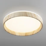 Потолочный светильник RGB круглый светодиодный с пультом Citilux Enzo CL753352G (220V, круглые)