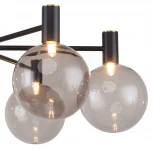 Потолочная люстра на штанге Favourite Eternity 2766-6P (220V, шарики)