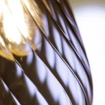 Подвесной светильник Rivoli Lily 9122-201 (220V, на проводе)