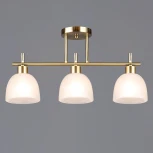 Потолочная люстра на штанге Reluce 06417-0.3-03 COP (220V)