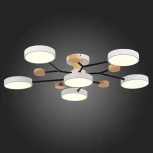 Потолочная люстра на штанге Evoluce Faema SLE6006-502-06