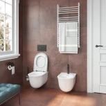 Кнопка смыва Geberit Sigma 20 черная, матовый лак