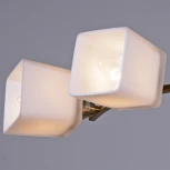 Потолочная люстра на штанге Reluce 06397-0.3-06 COP (220V)