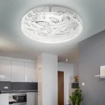 Потолочный светильник светодиодный ЭРА SPB-6-12-6,5K Syuzi