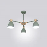 Потолочная люстра ImperiumLoft FOLKE01