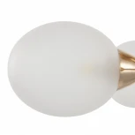 Потолочная люстра на штанге Arte Milano Napoli-2420 332420/5 FGD (220V)