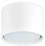 Точечный накладной светильник TECHNO SPOT TN5301 (220V)