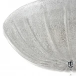 Потолочный светильник круглый Maytoni Sienna C216-CL-03-N (220V)