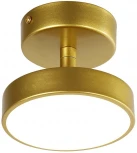 Потолочный светильник круглый F-Promo Atma 3059-1P (LED, 220V, круглые)