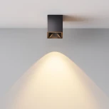 Накладной потолочный светильник Maytoni Alfa LED C065CL-8W2.7K-SQ-B (220V)