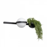 Настенный светильник Jardin 10121W/A Loft It (LED, 220V, шар)