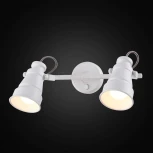 Спот на штанге Citilux Бейкер CL541520 (220V, выключатель, круглые)