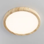 Настенно-потолочный светильник Citilux Бейсик CL738182V (регулировка яркости, LED, 220V, круглые, IP40)