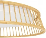 Потолочный светильник светодиодный Eglo LUPPINERIA 900797