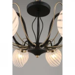 Потолочная люстра Omnilux 655 OML-65507-08