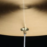 Подвесная светодиодная люстра Вальтер 551012609