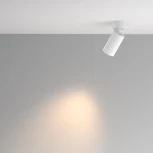 Потолочный светильник накладной Maytoni Calipso C108CL-01-GU10-W