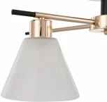 Потолочная люстра на штанге Arte Milano Napoli 322119/3 FG+BK (220V)