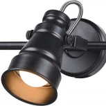 Спот Citilux Бейкер CL541531