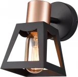 Спот Carisma VL6462W01 Vele Luce