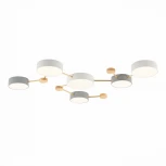 Потолочная люстра Evoluce Dossena SLE600102-06 (LED, 220V)