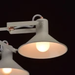 Потолочная люстра MW-Light Таун 691010705