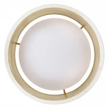 Потолочный светодиодный светильник круглый MyFar Anders MR2371-1CL (220V, круглые)