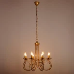 Подвесная люстра Abrasax Suzanne SD0812/8 (220V, на цепи, цветы, листья)