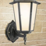 Настенный фонарь уличный Elektrostandard Claro GL 1004U черное золото