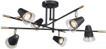 Потолочная люстра на штанге F-Promo Trandy 4618-6C