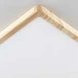 Настенно-потолочный светильник Citilux Бейсик CL738K502V (регулировка яркости, LED, 220V, IP40)