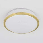 Встраиваемый точечный светильник Citilux Дельта CLD6008N (LED, 220V, диммер, IP21)