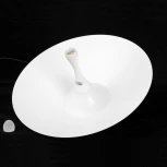 Подвесной светильник светодиодный Lussole Irvine LSP-7341 (220V, на проводе, круглые)