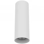 Накладной точечный светильник Lightstar Rullo 216496 (220V)