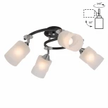 Потолочная люстра Citilux Сиерра CL119241 (220V)