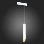 Трековый светильник однофазный 220V Skyline 220 ST508.513.01 ST Luce (круглые)