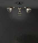 Потолочная люстра Wedo Light Aniko WD3637/3C-BK-FGD-BK