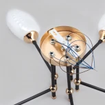 Потолочная люстра на штанге Imex MD.4144-5-S-BK+FGD