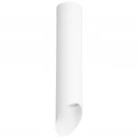 Накладной точечный светильник Lightstar Rullo R49636 (220V, круглые)