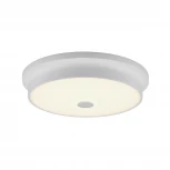 Настенно-потолочный светильник Citilux Фостер-2 CL706230